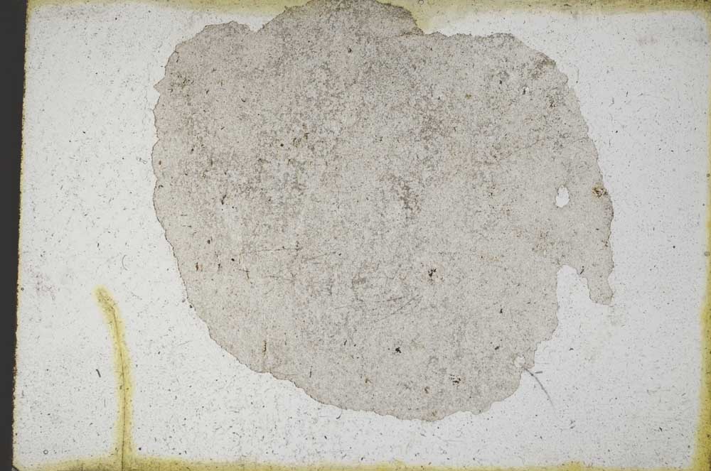 Plane Polarized, S9493