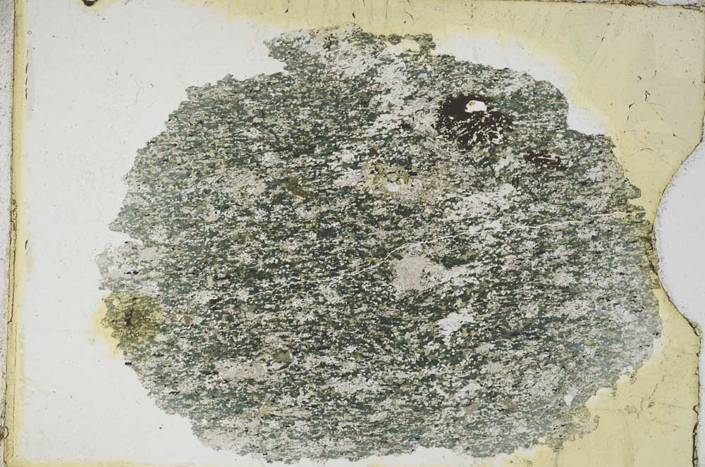 Plane Polarized, S9512
