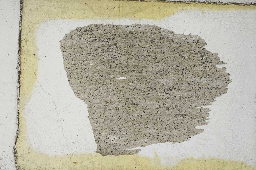 Plane Polarized, S9533