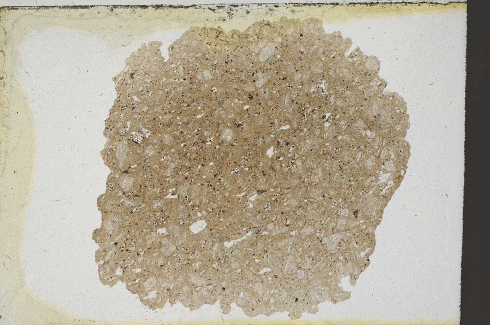 Plane Polarized, S9534