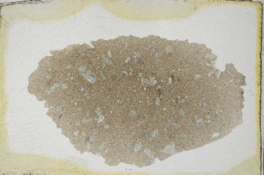 Plane Polarized, S9536