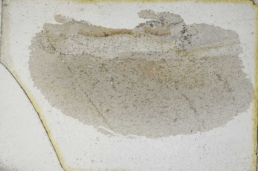 Plane Polarized, S9564