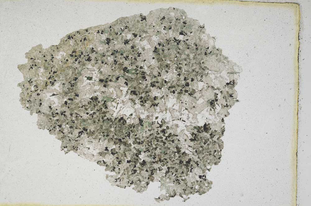 Plane Polarized, S9576