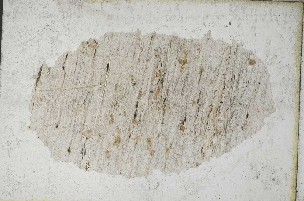 Plane Polarized, S9585