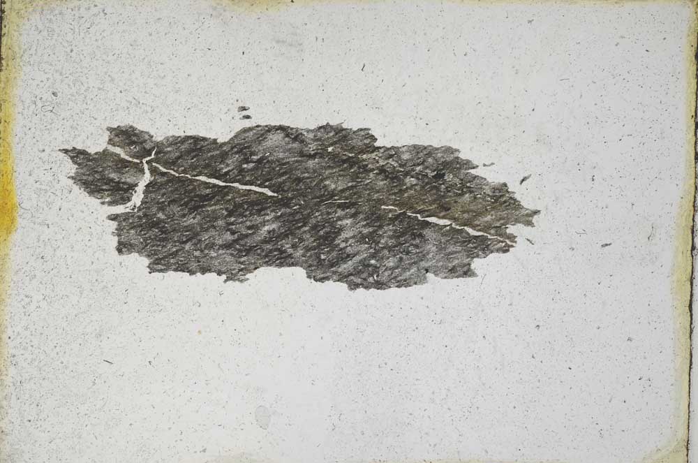 Plane Polarized, S9597