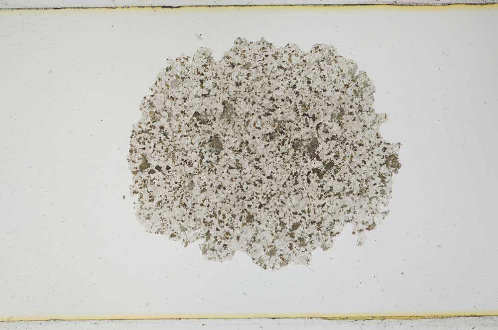 Plane Polarized, S593