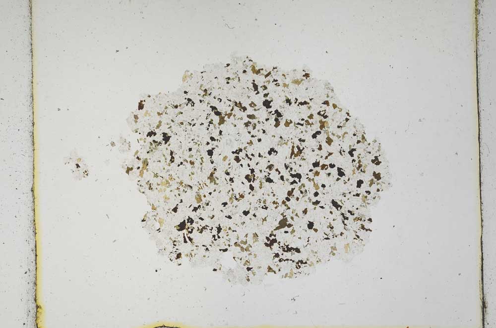 Plane Polarized, S600