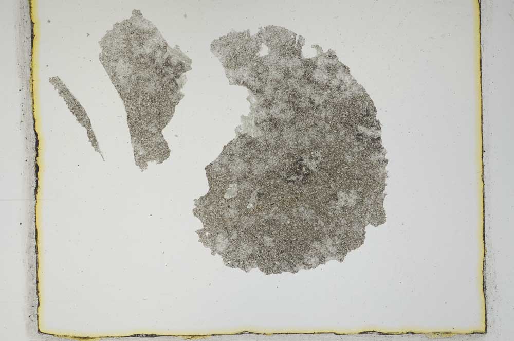 Plane Polarized, S656