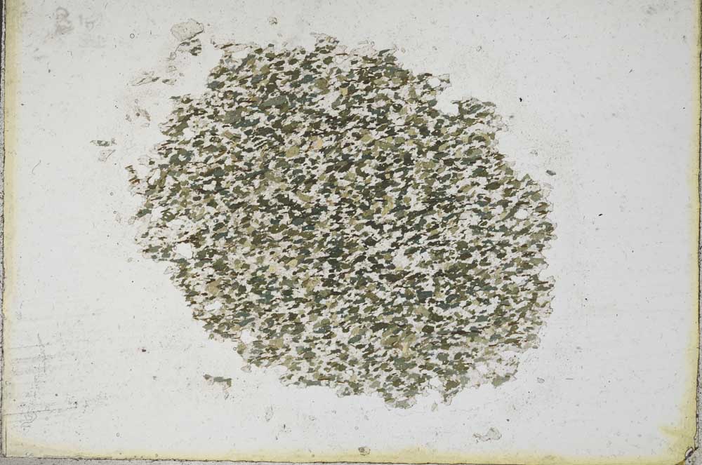 Plane Polarized, S9684