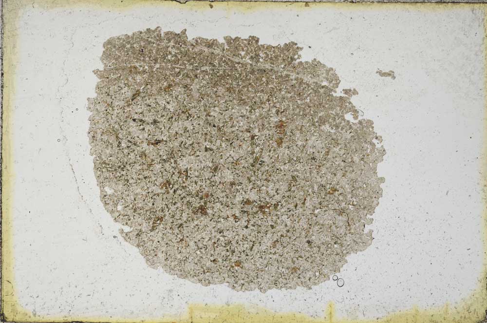 Plane Polarized, S9685