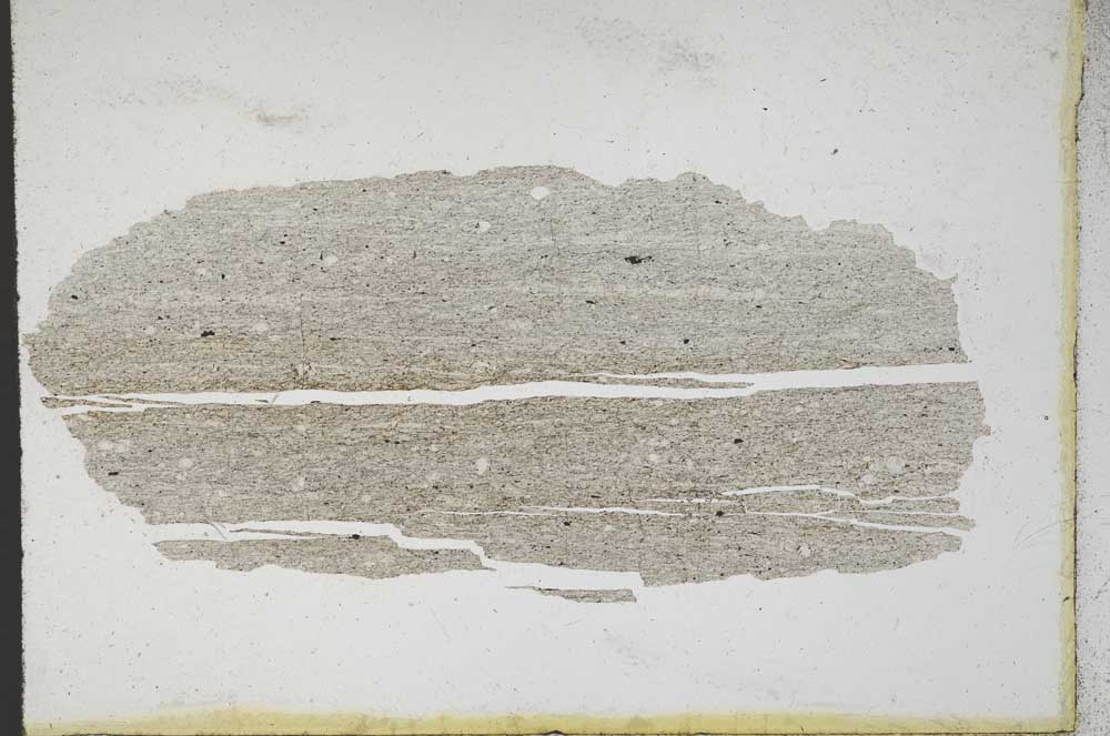 Plane Polarized, S9770