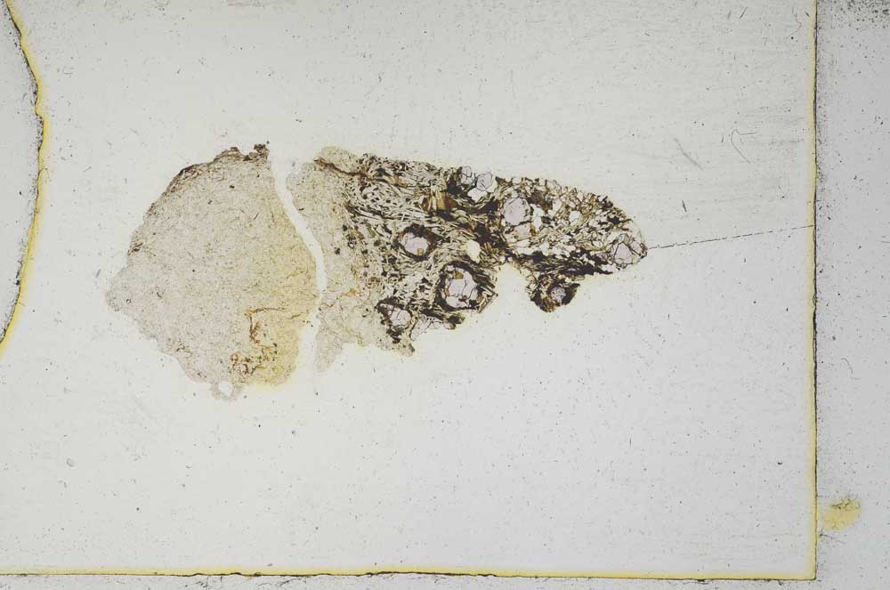 Plane Polarized, S9788