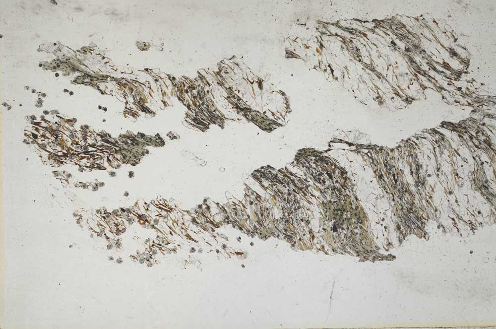 Plane Polarized, S9790