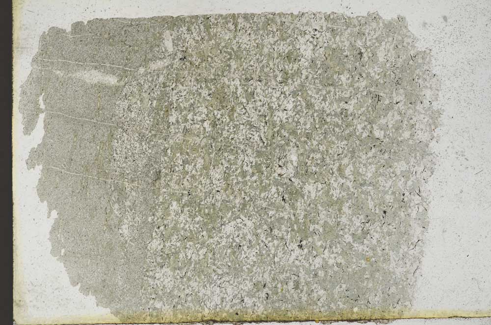 Plane Polarized, S9791