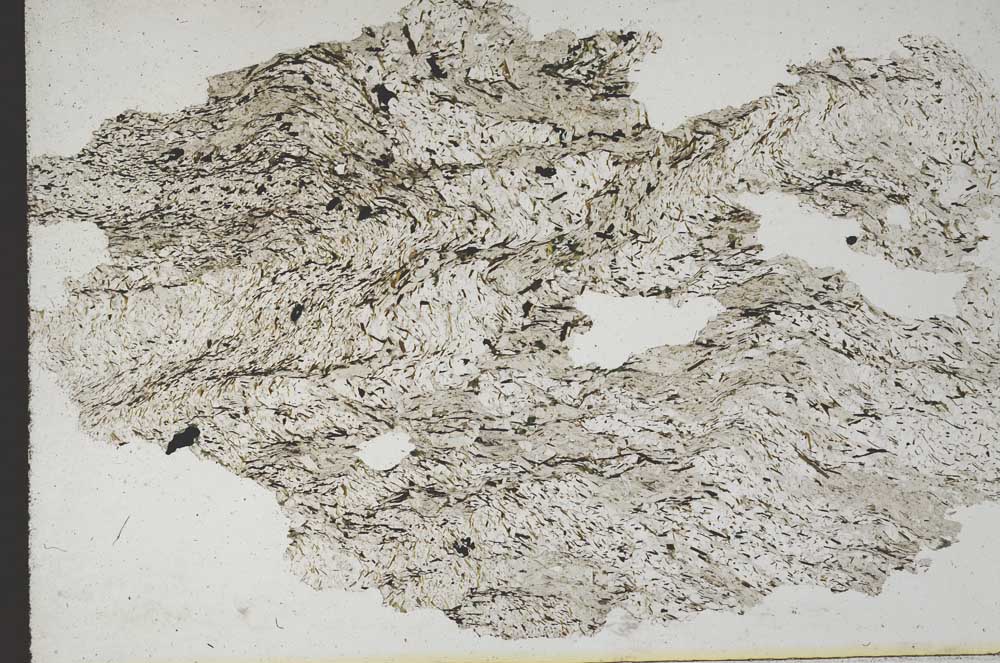 Plane Polarized, S9792