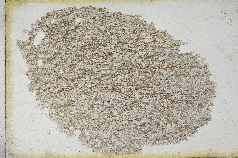 Plane Polarized, S9793