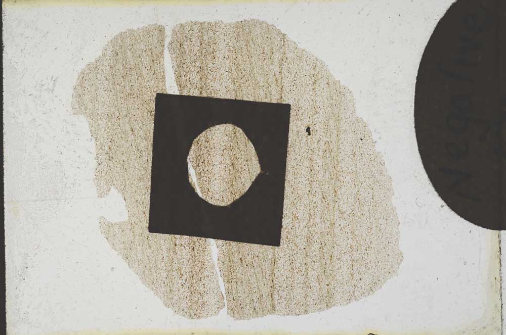 Plane Polarized, S9797