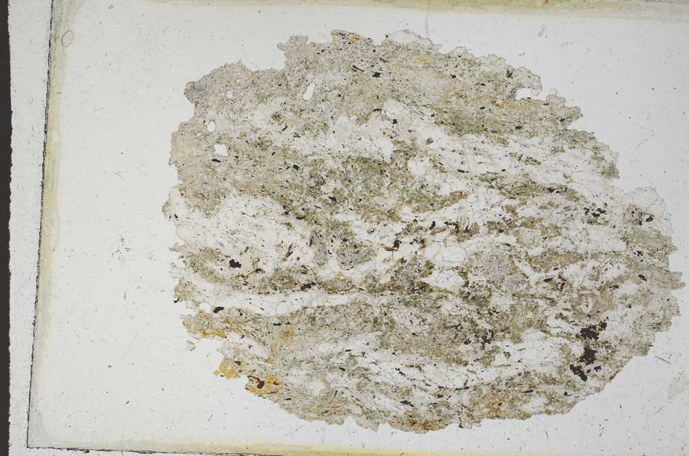 Plane Polarized, S9817