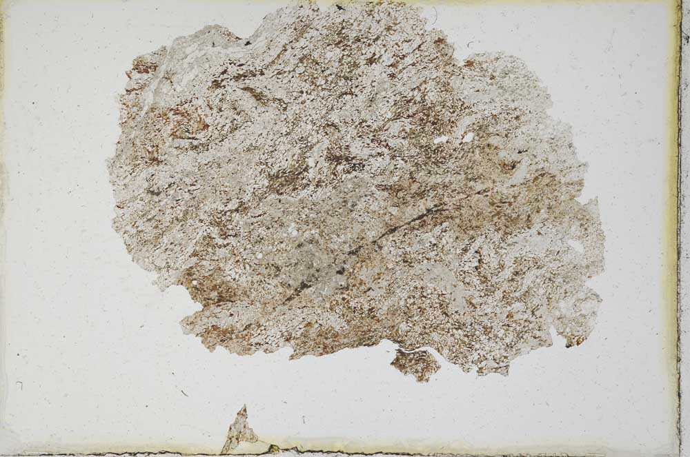 Plane Polarized, S9819