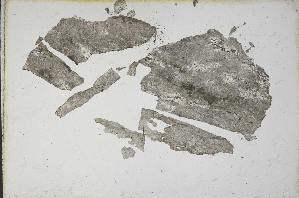 Plane Polarized, S9829