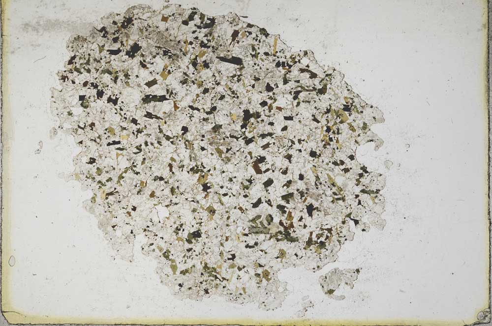 Plane Polarized, S9836