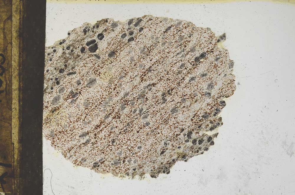 Plane Polarized, S9865