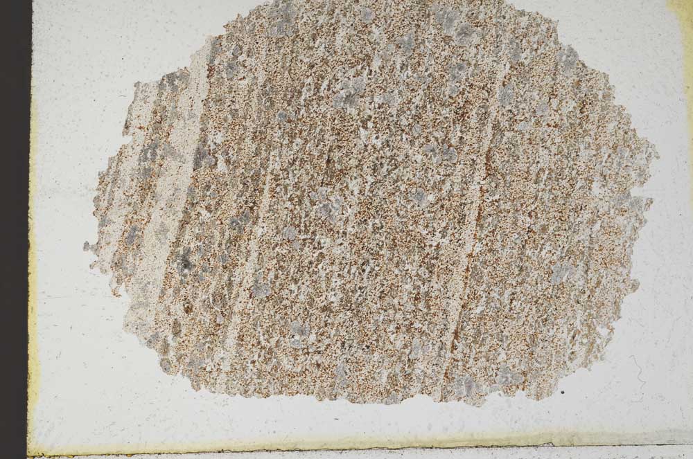 Plane Polarized, S9868