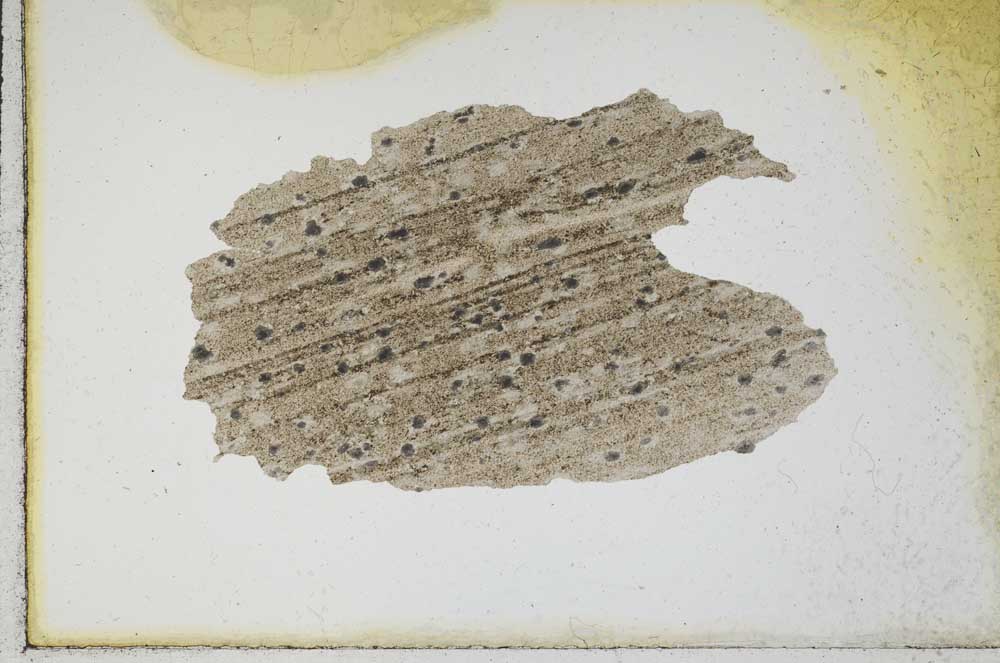 Plane Polarized, S9870