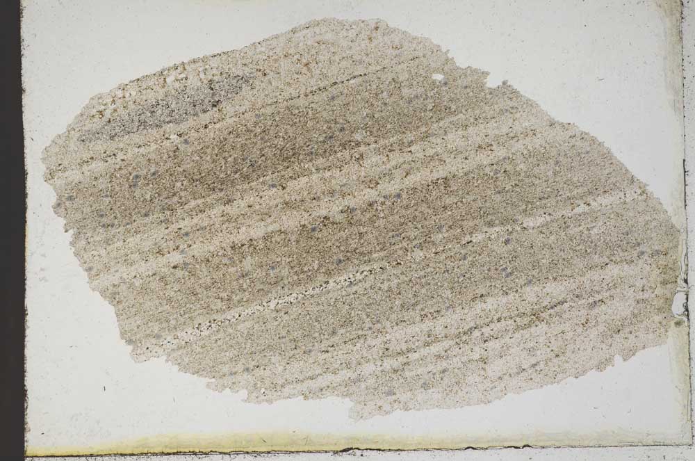 Plane Polarized, S9871