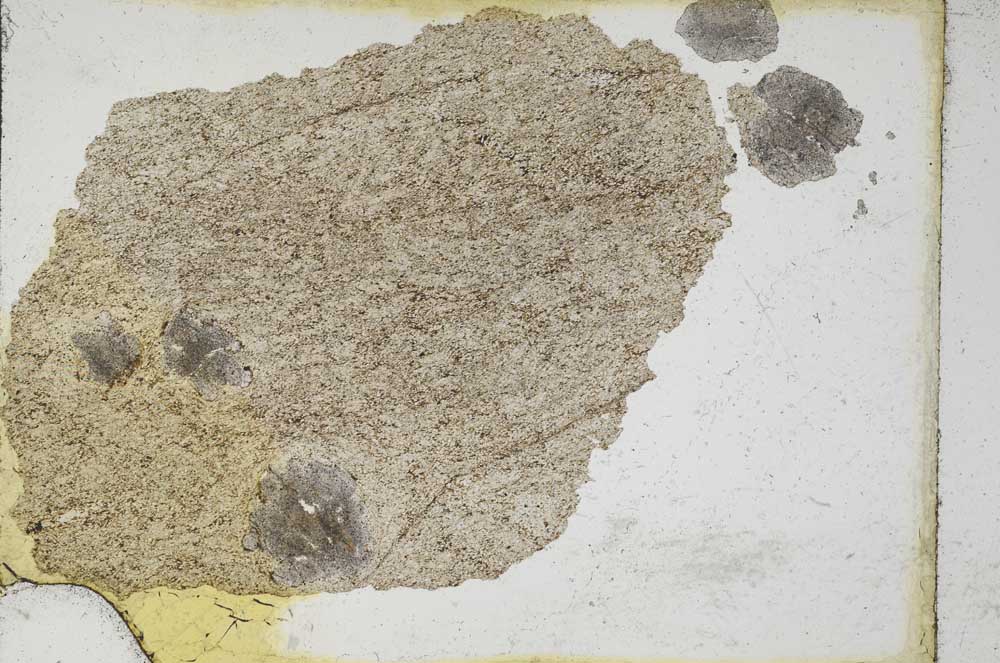 Plane Polarized, S9872