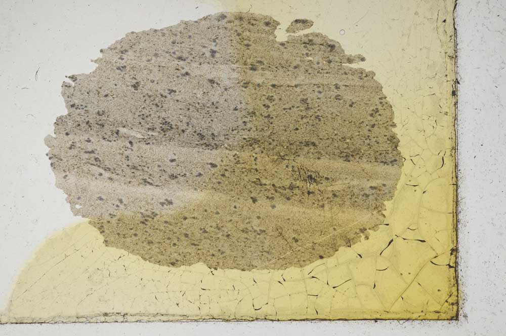 Plane Polarized, S9875