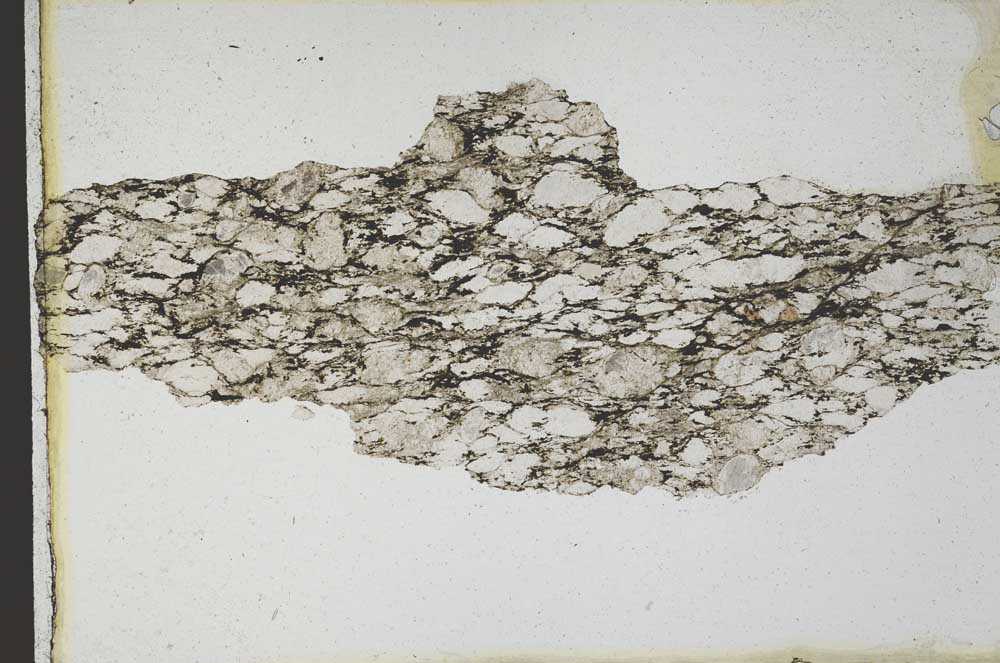 Plane Polarized, S9880