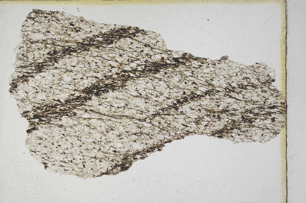 Plane Polarized, S9881