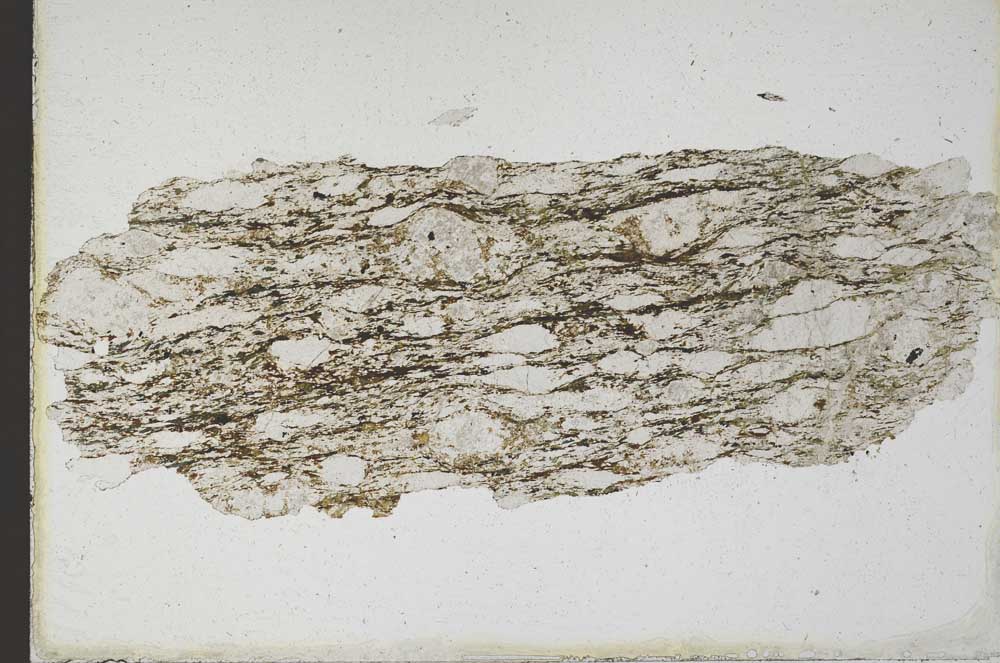 Plane Polarized, S9884