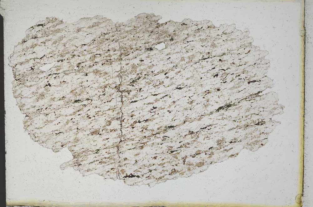 Plane Polarized, S9892