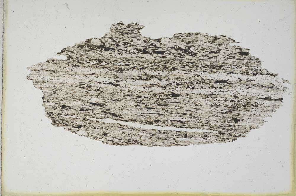 Plane Polarized, S9898