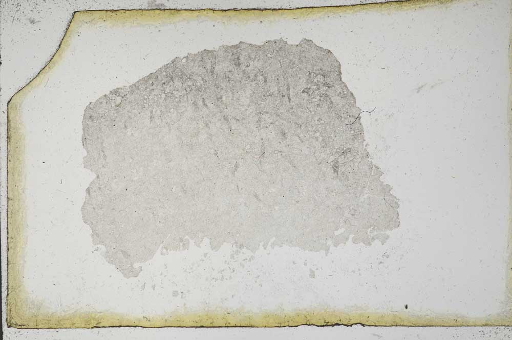 Plane Polarized, S9912