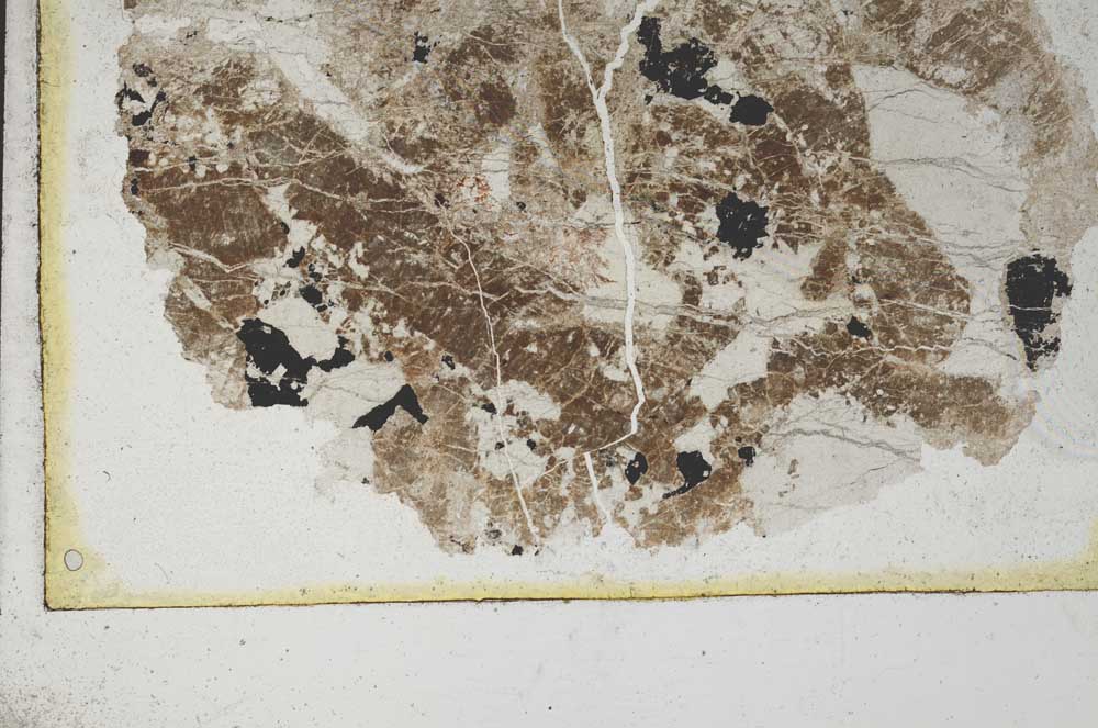 Plane Polarized, S9921