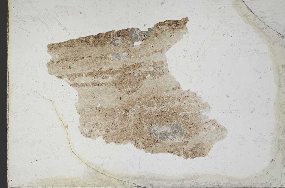 Plane Polarized, S9953