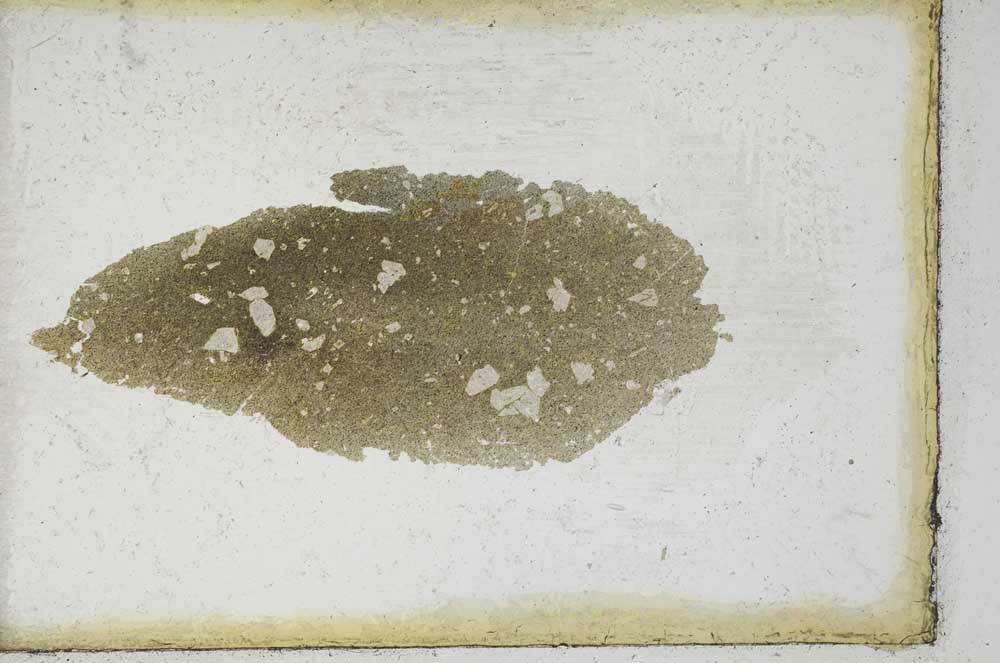 Plane Polarized, S9955