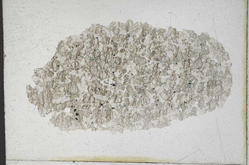 Plane Polarized, S9990