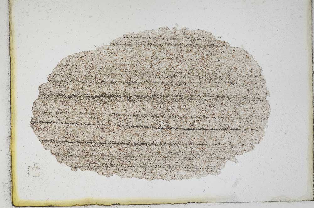 Plane Polarized, S9992