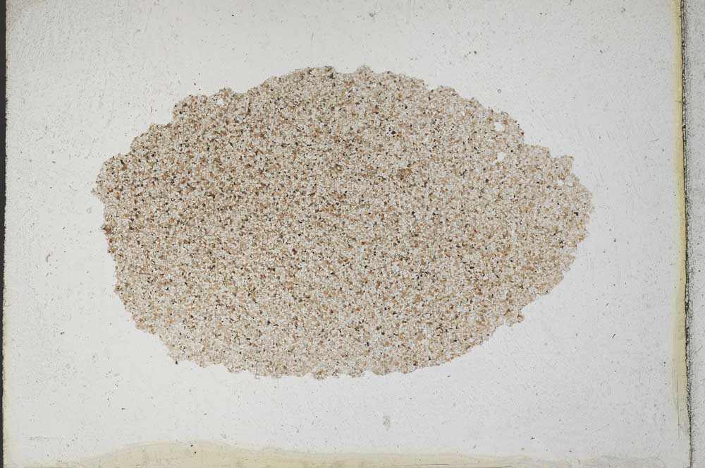 Plane Polarized, S9993