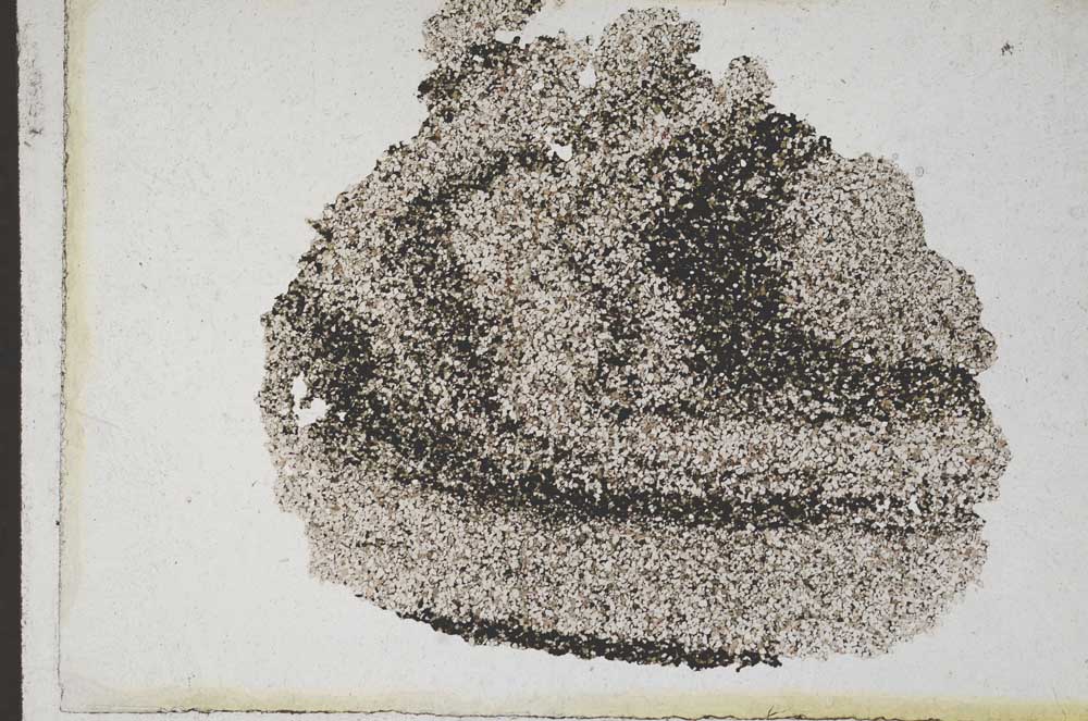 Plane Polarized, S9994