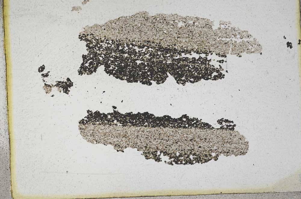 Plane Polarized, S9995