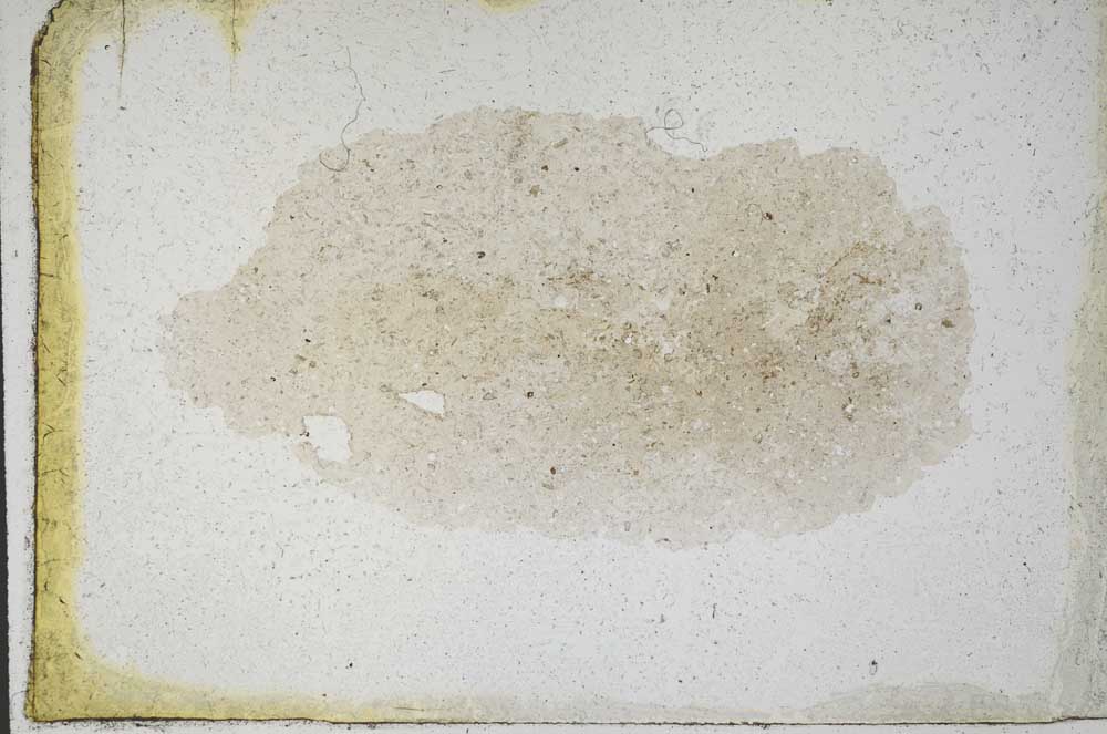 Plane Polarized, S10036