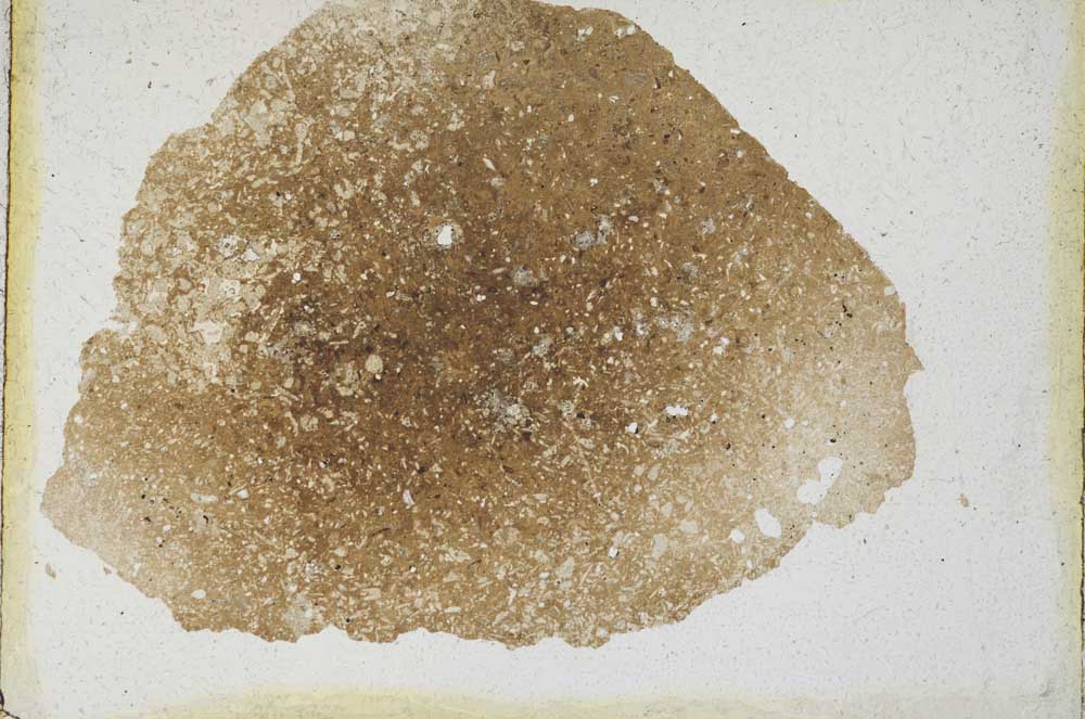 Plane Polarized, S10038