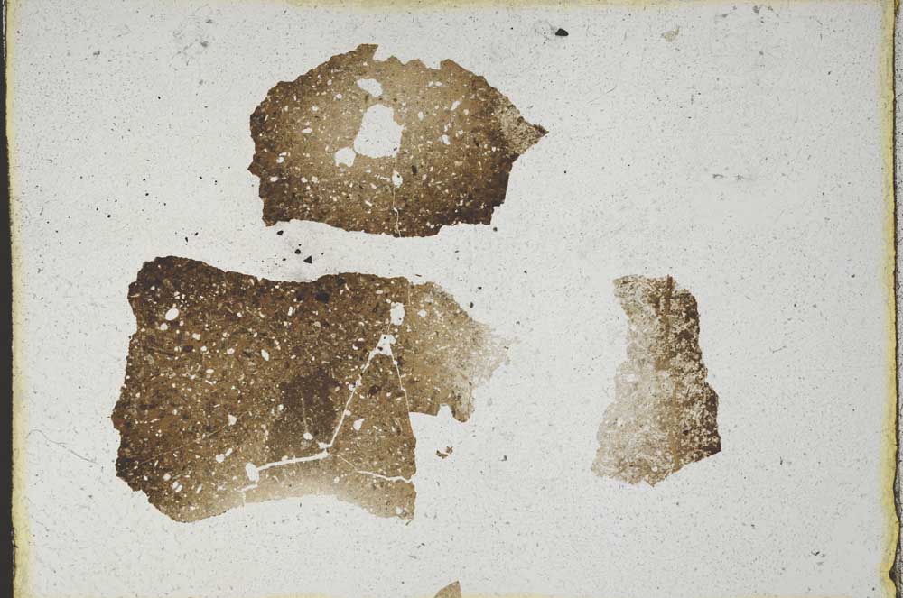 Plane Polarized, S10039