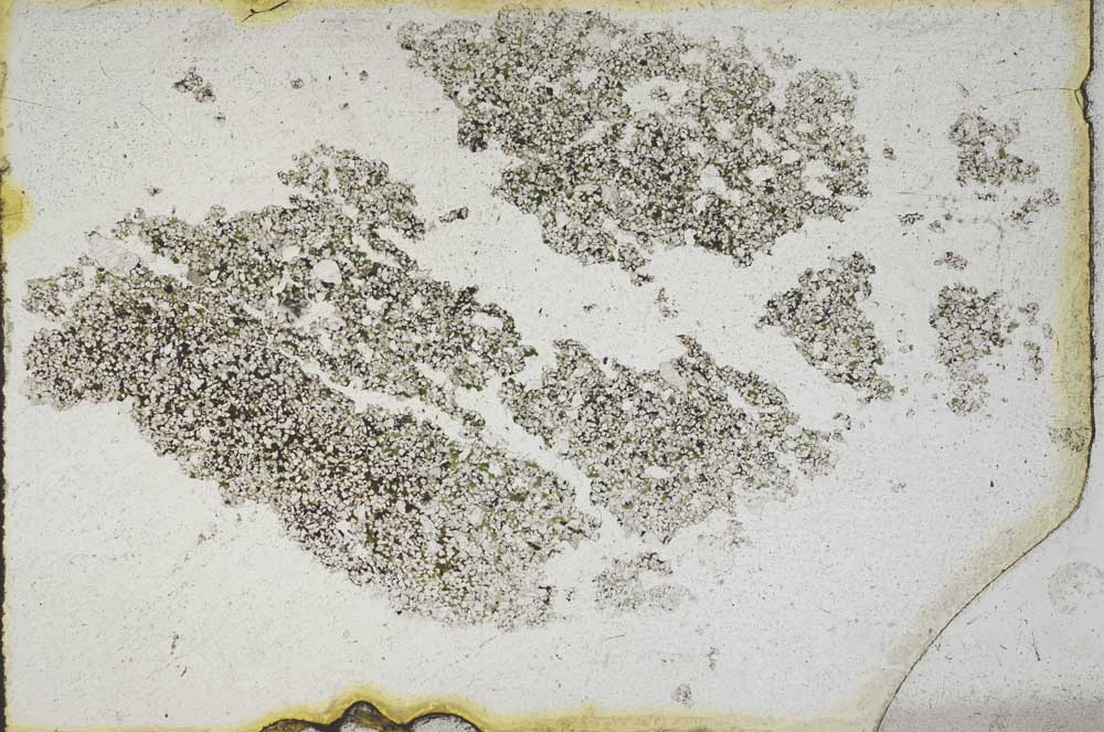 Plane Polarized, S10041