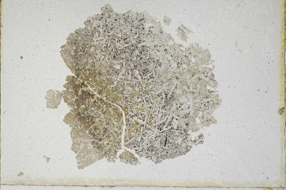 Plane Polarized, S10043